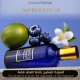 Fragrance Du Bois - Oud Bleu Intense for Unisex A++