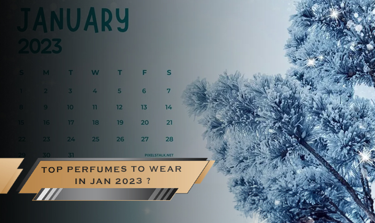 TOP PERFUMES TO WEAR IN JAN 2023